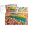 Central Park Stadium Fine Art Jigsaw Puzzle - Wigan Rugby League